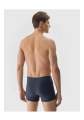Men's Swimming Suit _ 4F  Art. 4FU027.22 (2)