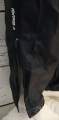 Men's Waterproof Trousers _ Brugi  Art. L75D460 (3)