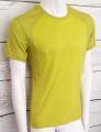 Men's Trekking T-Shirt _ Brugi  Art. NB1DT1U (2)