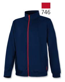 Sweatshirt Tracksuit (large sizes) _ Brugi - Art. F81R960