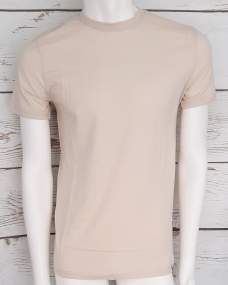 Men's T-Shirt (100% cotton) _ Brugi - Art. CQ1J095