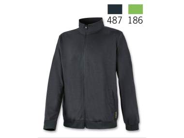 Sweatshirt Tracksuit (large sizes) _ Brugi - Art. F81R487