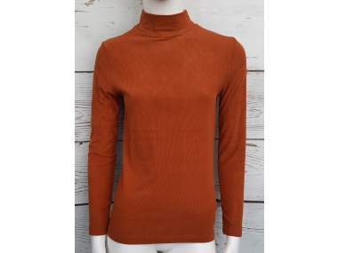 Women's Turtleneck Sweater _ Brugi - Art. CU59048