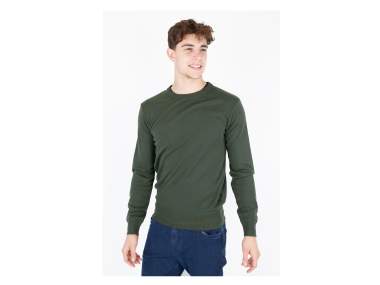 Men's Winter Sweater _ Brugi - Art. CS1F720