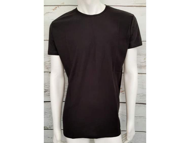 Men's T-Shirt (100% cotton) _ Brugi  Art. CQ1J500 (1)