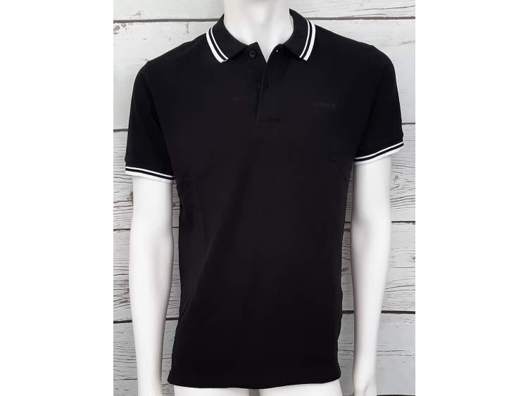 Polo Uomo (100% cotone) _ Brugi  Art. CT15500 (1)