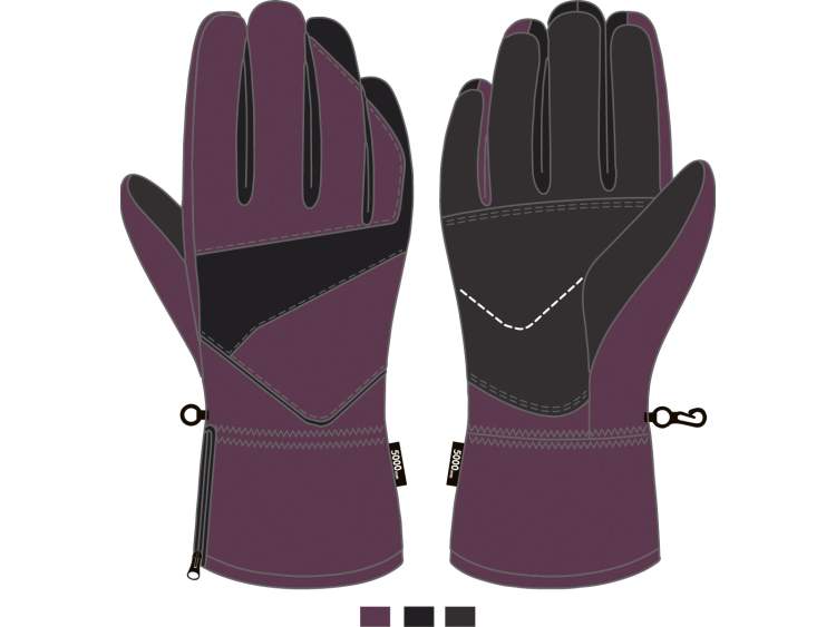 Guanti Sci Donna _ Brugi  Art. ZB2PQE6 (1)